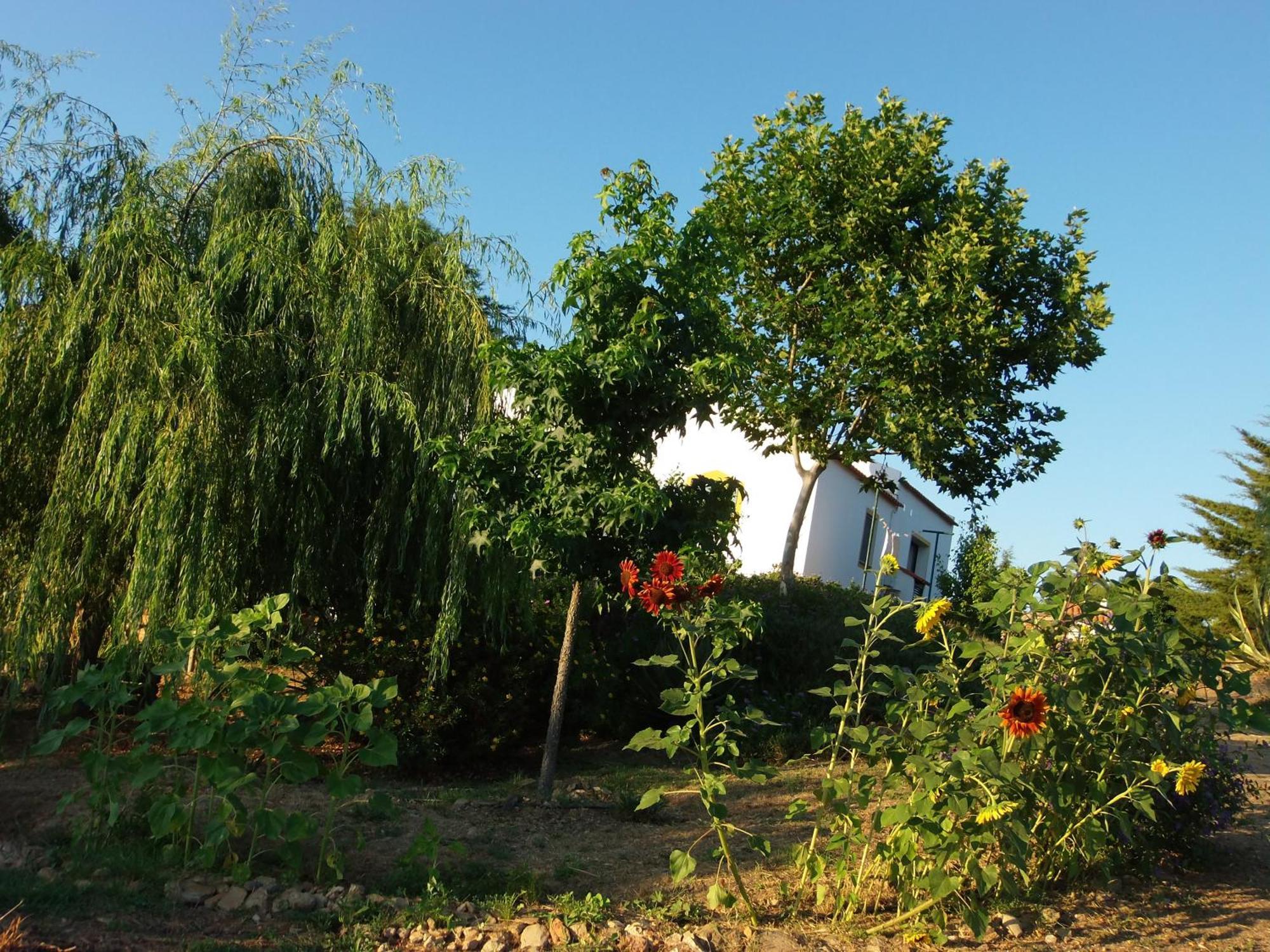 Séjour à la campagne Ninho Da Poupa Serpa